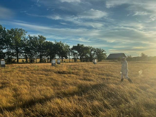 Raw and unfiltered honey 4oz
